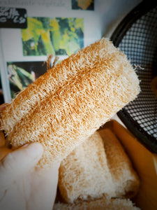 Éponge Luffa avec ou sans cordelette