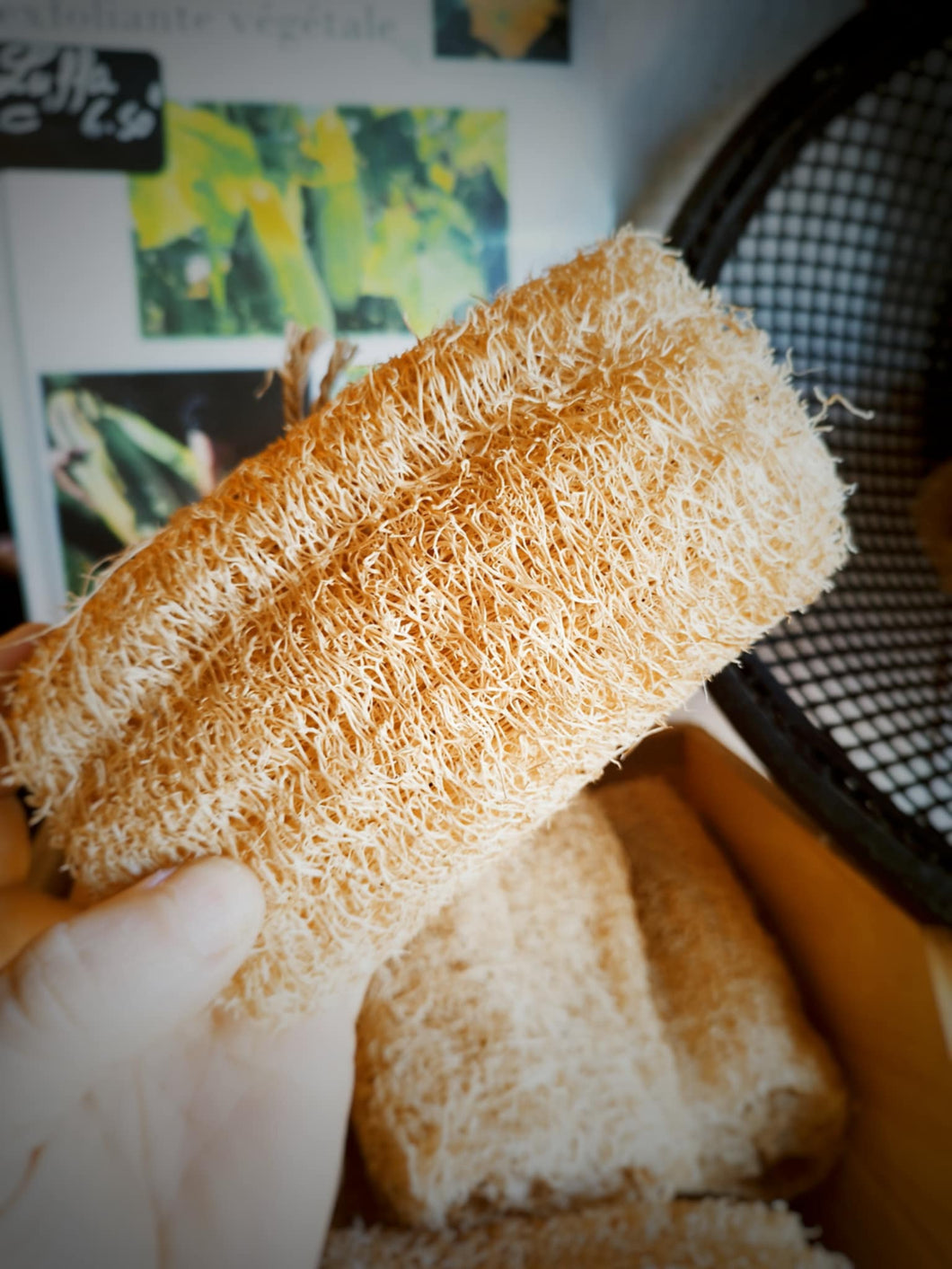 Éponge Luffa avec ou sans cordelette